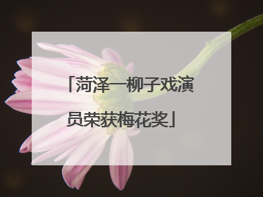 菏泽一柳子戏演员荣获梅花奖