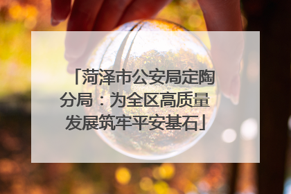 菏泽市公安局定陶分局：为全区高质量发展筑牢平安基石
