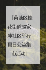 荷塘区桂花街道赵家冲社区举行夏日公益集市活动