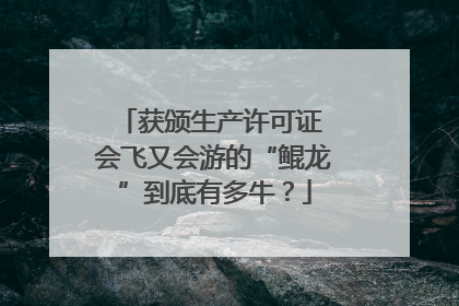 获颁生产许可证 会飞又会游的“鲲龙”到底有多牛？