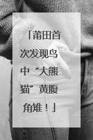 莆田首次发现鸟中“大熊猫”黄腹角雉！
