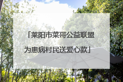 莱阳市菜哥公益联盟为患病村民送爱心款