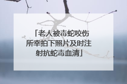 老人被毒蛇咬伤 所幸拍下照片及时注射抗蛇毒血清