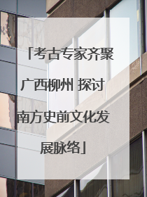 考古专家齐聚广西柳州 探讨南方史前文化发展脉络