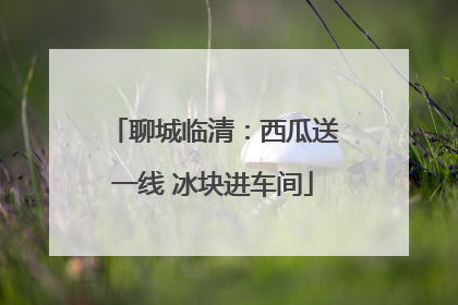 聊城临清：西瓜送一线 冰块进车间