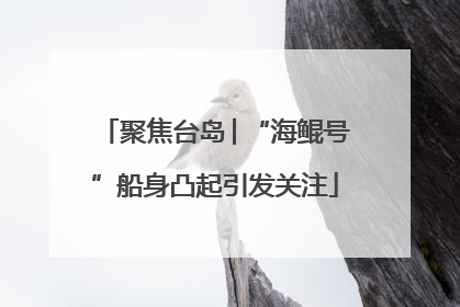 聚焦台岛│“海鲲号”船身凸起引发关注