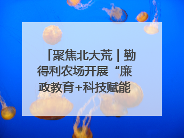 聚焦北大荒｜勤得利农场开展“廉政教育+科技赋能”主题党日活动