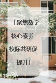 聚焦数学核心素养 校际共研促提升
