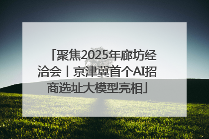 聚焦2025年廊坊经洽会丨京津冀首个AI招商选址大模型亮相