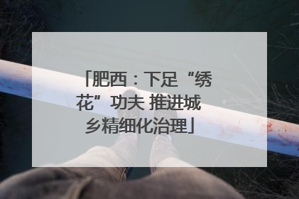 肥西：下足“绣花”功夫 推进城乡精细化治理