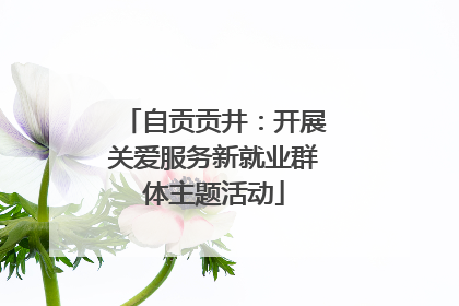 自贡贡井：开展关爱服务新就业群体主题活动