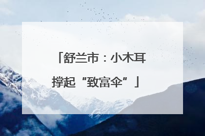 舒兰市：小木耳撑起“致富伞”