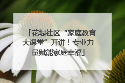 花堤社区“家庭教育大课堂”开讲！专业力量赋能家庭幸福