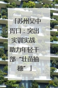 苏州吴中胥口：突出实训实战 助力年轻干部“壮苗抽穗”