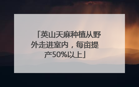 英山天麻种植从野外走进室内，每亩提产50%以上