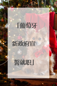 葡萄牙新政府宣誓就职
