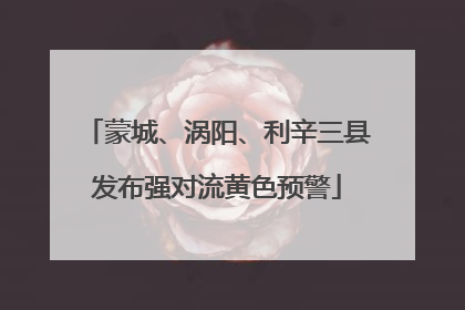 蒙城、涡阳、利辛三县发布强对流黄色预警