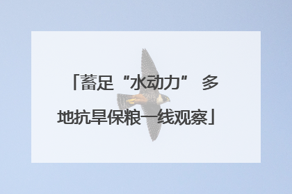 蓄足“水动力” 多地抗旱保粮一线观察