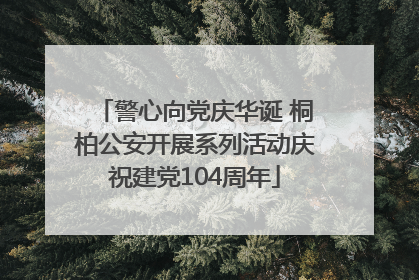 警心向党庆华诞 桐柏公安开展系列活动庆祝建党104周年