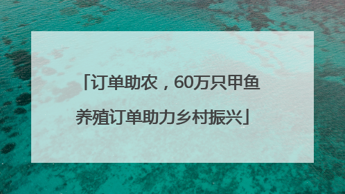 订单助农，60万只甲鱼养殖订单助力乡村振兴