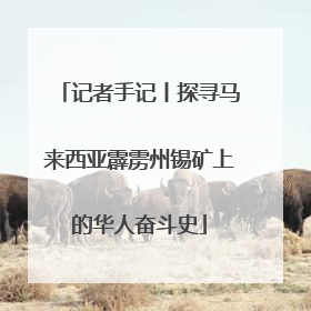 记者手记丨探寻马来西亚霹雳州锡矿上的华人奋斗史