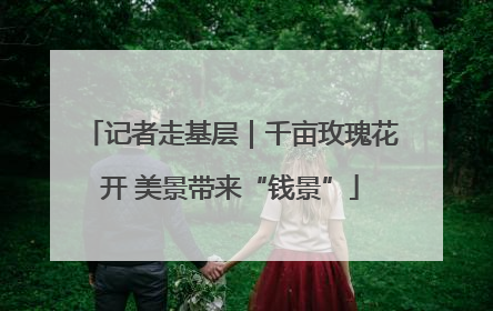记者走基层｜千亩玫瑰花开 美景带来“钱景”