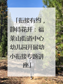 衔接有约，静待花开：福莱山街道中心幼儿园开展幼小衔接专题讲座