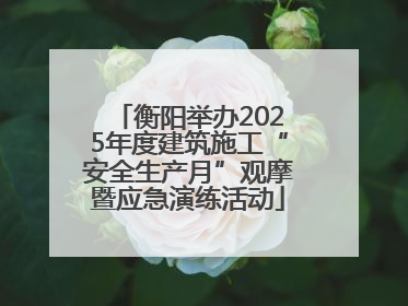 衡阳举办2025年度建筑施工“安全生产月”观摩暨应急演练活动