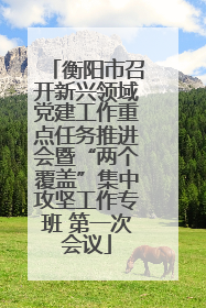 衡阳市召开新兴领域党建工作重点任务推进会暨“两个覆盖”集中攻坚工作专班 第一次会议