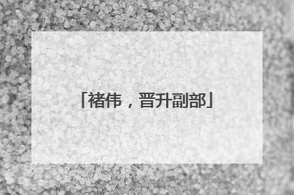褚伟，晋升副部