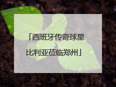 西班牙传奇球星 比利亚莅临郑州