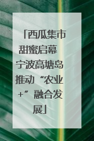 西瓜集市甜蜜启幕 宁波高塘岛推动“农业+”融合发展