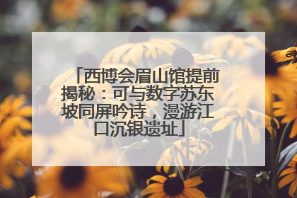 西博会眉山馆提前揭秘：可与数字苏东坡同屏吟诗，漫游江口沉银遗址