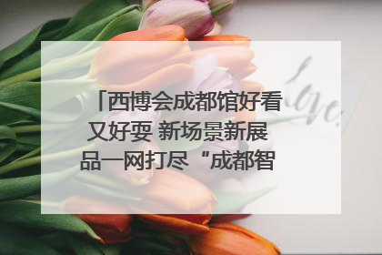 西博会成都馆好看又好耍 新场景新展品一网打尽“成都智造”｜西博视界