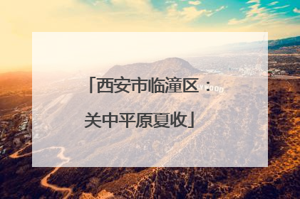 西安市临潼区：关中平原夏收