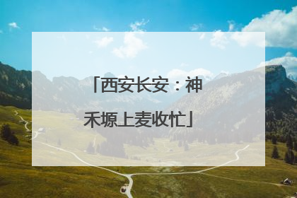 西安长安：神禾塬上麦收忙