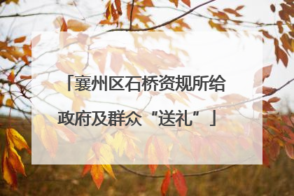 襄州区石桥资规所给政府及群众“送礼”