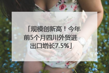 规模创新高！今年前5个月四川外贸进出口增长7.5%