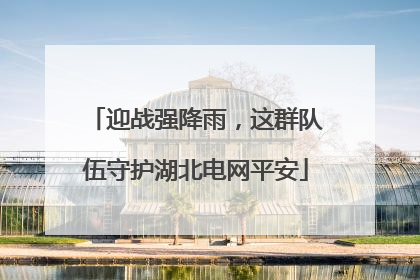 迎战强降雨，这群队伍守护湖北电网平安