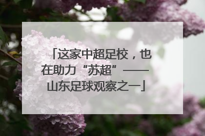 这家中超足校，也在助力“苏超”——山东足球观察之一