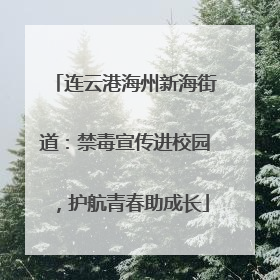 连云港海州新海街道：禁毒宣传进校园，护航青春助成长