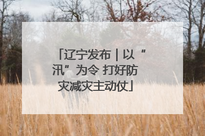 辽宁发布｜以“汛”为令 打好防灾减灾主动仗