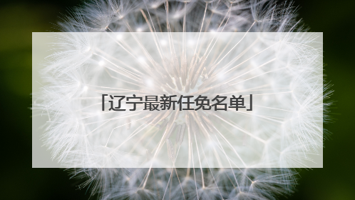辽宁最新任免名单