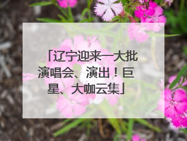 辽宁迎来一大批演唱会、演出！巨星、大咖云集