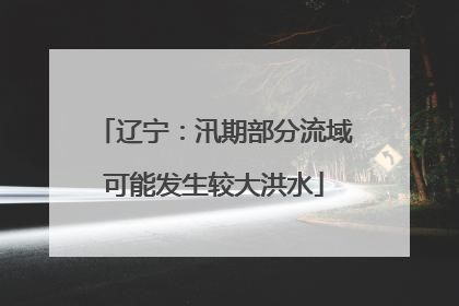 辽宁：汛期部分流域可能发生较大洪水