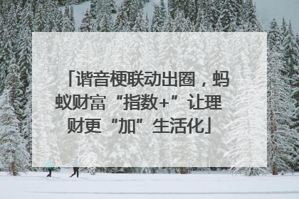 谐音梗联动出圈，蚂蚁财富“指数+”让理财更“加”生活化