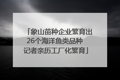 象山苗种企业繁育出26个海洋鱼类品种 记者亲历工厂化繁育