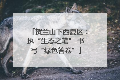 贺兰山下西夏区：执“生态之笔” 书写“绿色答卷”