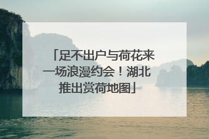 足不出户与荷花来一场浪漫约会！湖北推出赏荷地图