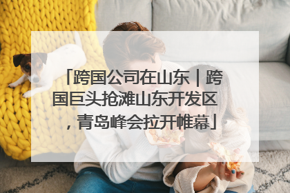 跨国公司在山东｜跨国巨头抢滩山东开发区，青岛峰会拉开帷幕